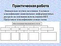 Практическая работа