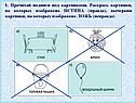 Прочитай подписи под картинками