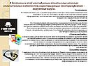 История компьютерных вирусов
