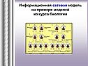 Информационная сетевая модель на примере моделей из курса биологии