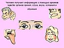 Человек