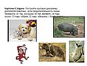 «Круговые диаграммы» 5 класс