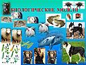 Биологические модели