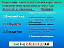 Структура