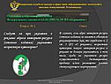 Основные вопросы
