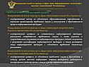 Структура полномочий надзорных органов