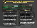 Вступление в силу Федерального закона
