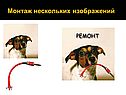 Монтаж нескольких изображений
