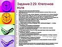 Клеточное поле