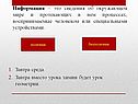 Сведения об окружающем мире