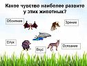 Чувство