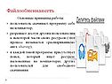 Файлообменная сеть