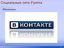 Социальные сети Рунета