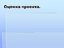 Оценка проекта