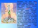 Доказано, что одна пачка сигарет лишает человека 400 минут жизни