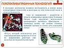 Перспективы троичных технологий
