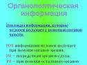 Органолептическая информация