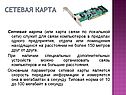 Сетевая карта