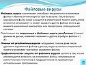 Файловые вирусы