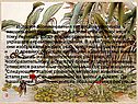 История возникновения китайской живописи насчитывает более шести