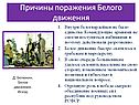 Причины поражения Белого движения