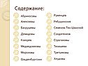 Содержание