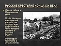 Уборка табака в Минусинском уезде
