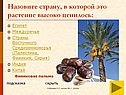 Растение