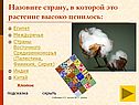 Хлопок