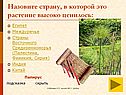 Папирус