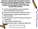 Эпоха существования семи сильнейших царств