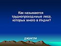 Как называются труднопроходимые леса, которых много в Индии