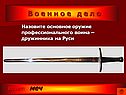 Оружие профессионального воина