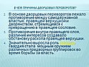 В основе дворцовых переворотов лежало противоречие между самодержавной