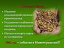 Последствия