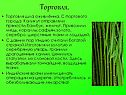 Торговля