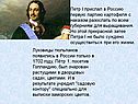 Петр I прислал в Россию первую партию картофеля