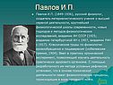 Павлов И.П