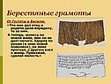 Берестяные грамоты