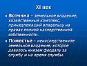 XI век