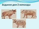Задание для 2 команды