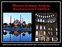 Культура мусульманского Востока