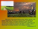 Спицы велосипедных колес