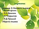 Назовите лидеров Белой армии