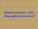 Сбор меда диких пчел
