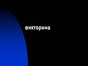 Викторина