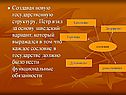 Основные реформы Петра I
