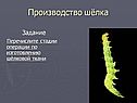 Производство шёлка
