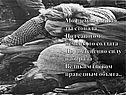 Моя земля родная