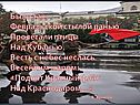 Пролетали птицы над Кубанью